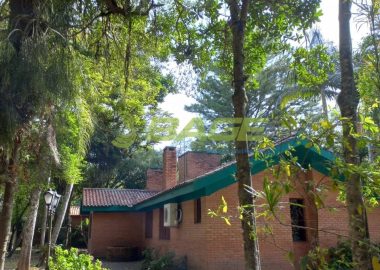 ipf2p320X6_9278636e5d5ae6986