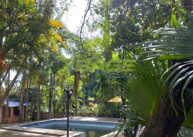 ipf2p320X6_9278636e5d7b7a1da