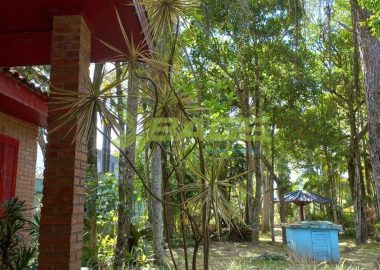 ipf2p320X6_9278636e5d8a28940