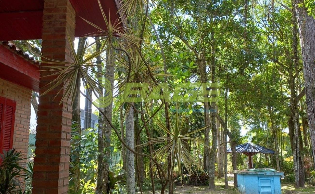 ipf2p320X6_9278636e5d8a28940