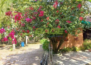 ipf2p320X6_9278636e5d8cb3608