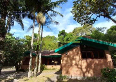 ipf2p320X6_9278636e5d8feeacd