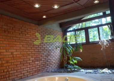 ipf2p320X6_9278636e5daf56961